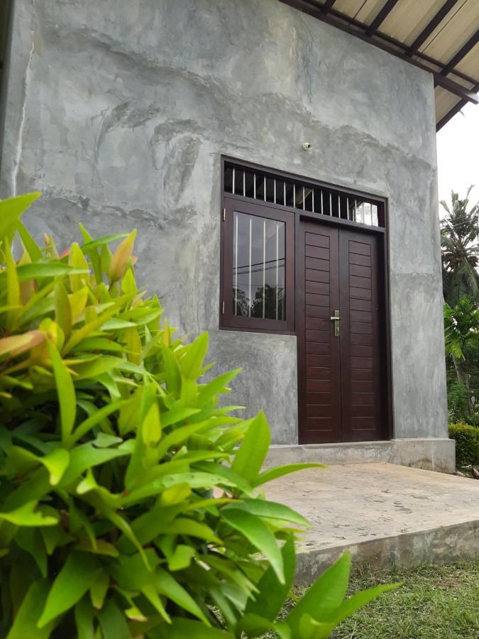 Dollyz Home - Sri Lanka Ambalangoda  Exteriör bild